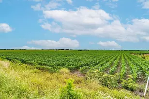 Tbd Fm 973 N, Coupland, TX 78615 - Photo 10