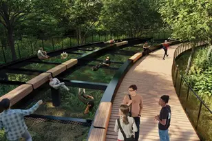 4709 Prock Ln, Austin, TX 78721 - Photo 14