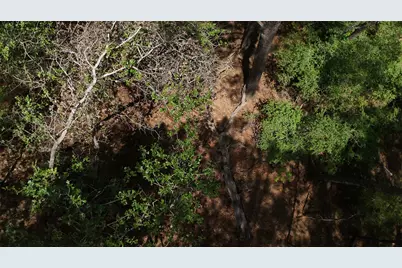 Lot 232 Hekili Drive, Bastrop, TX 78602 - Photo 4