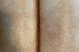 202 Herald Dr, Hutto, TX 78634 - Photo 18