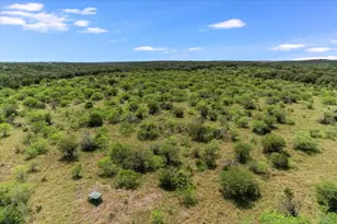 1750 Craddock Ave, San Marcos, TX 78666 - Photo 30