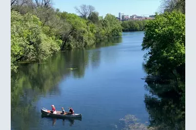 1101 Hollow Creek Drive #2203, Austin, TX 78704 - Photo 2
