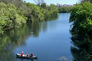 1101 Hollow Creek Dr, Austin, TX 78704 - Photo 2
