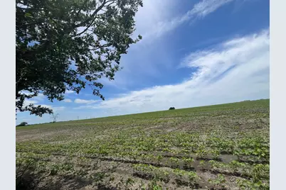 65.47 Acres Cr 327 Road, Granger, TX 76530 - Photo 2
