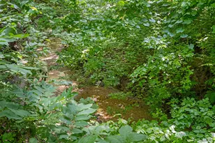 3503 Carla Dr, Austin, TX 78754 - Photo 38