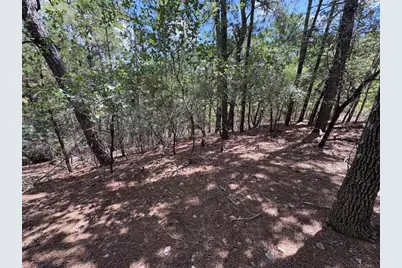 120 Molokini Drive, Bastrop, TX 78602 - Photo 6