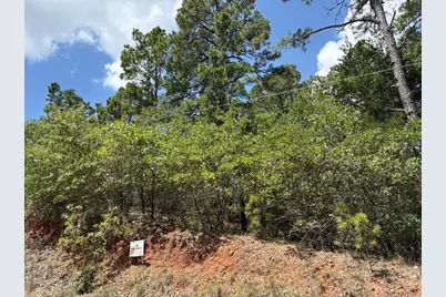 120 Molokini Drive, Bastrop, TX 78602 - Photo 8