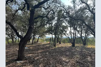 21002 Niagara Cove, Lago Vista, TX 78645 - Photo 4