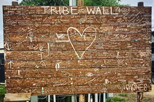 802 Bell Springs Rd, Dripping Springs, TX 78620 - Photo 36