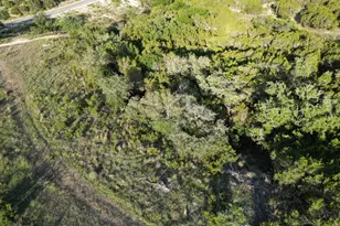 Lot 76 Serenity Dr, Bertram, TX 78605 - Photo 2