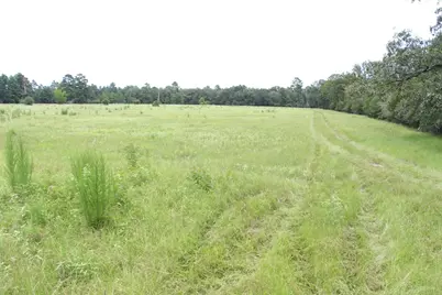 None County Road 3401, Crockett, TX 75851 - Photo 10