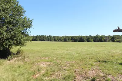 None County Road 3401, Crockett, TX 75851 - Photo 4