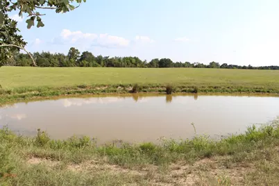 None County Road 3401, Crockett, TX 75851 - Photo 6