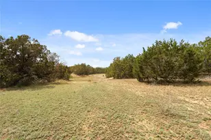 1371 Co Rd 281, Leander, TX 78641 - Photo 1