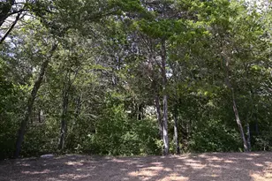 110 Swift Ln, Bastrop, TX 78602 - Photo 36