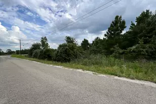 Tbd County Rd Lot 20-C Rd, Bastrop, TX 78602 - Photo 1