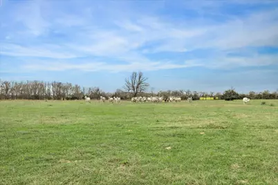 7281 County Road 358 Road, Gause, TX 77836 - Photo 16
