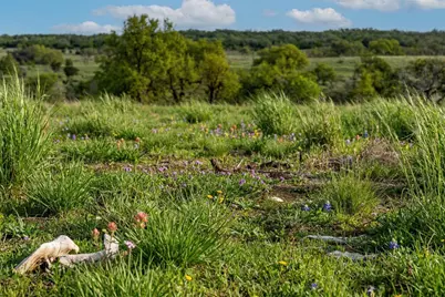 Lot 20 Gracewood Way, Dripping Springs, TX 78620 - Photo 1