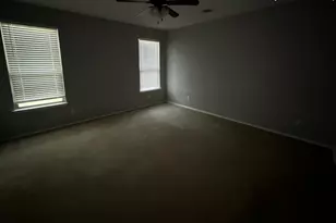 913 Water Hyacinth Loop, Leander, TX 78641 - Photo 8