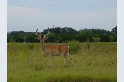 314 Coventry   (Lot 374) Drive, Spicewood, TX 78669 - Photo 14