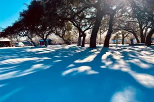 8203 Longview Rd, Austin, TX 78745 - Photo 4