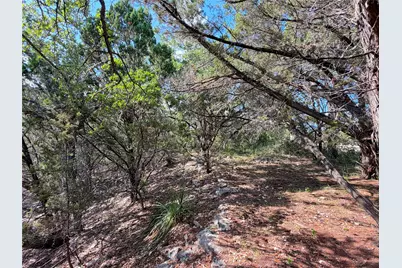 2021 Ronda Court, Canyon Lake, TX 78133 - Photo 14