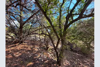 2021 Ronda Court, Canyon Lake, TX 78133 - Photo 4