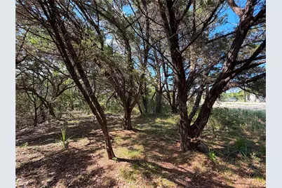 2021 Ronda Court, Canyon Lake, TX 78133 - Photo 4