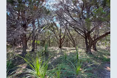 2021 Ronda Court, Canyon Lake, TX 78133 - Photo 10