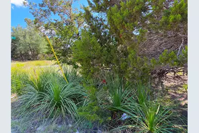 2021 Ronda Court, Canyon Lake, TX 78133 - Photo 2