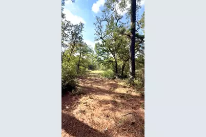 Tbd Marlin Street, McDade, TX 78650 - Photo 6