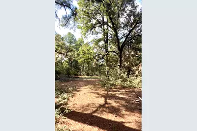 Tbd Marlin Street, McDade, TX 78650 - Photo 12