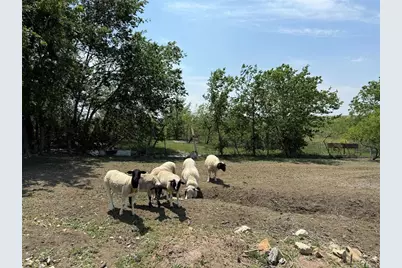 1796 County Road 139 Road, Hutto, TX 78634 - Photo 12