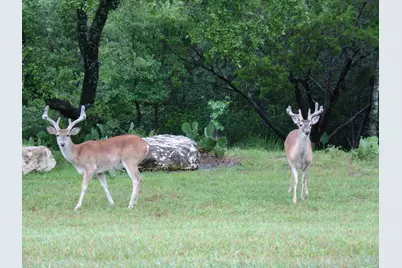 1017 Coventry Road, Spicewood, TX 78669 - Photo 34