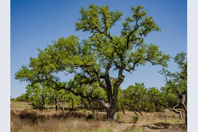 000 Little Creek Ranch, Johnson City, TX 78636 - Photo 14
