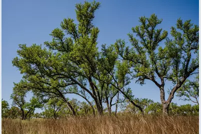 000 Tall Oak Ranch, Johnson City, TX 78636 - Photo 10