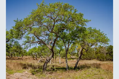 000 Little Creek Ranch, Johnson City, TX 78636 - Photo 12
