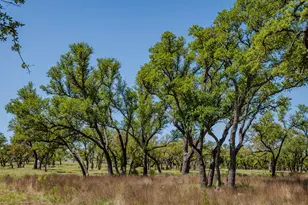 000 Little Creek Ranch, Johnson City, TX 78636 - Photo 1