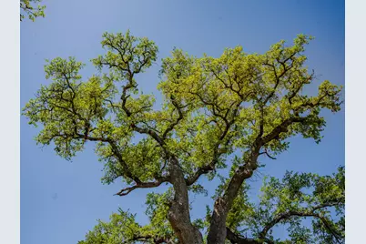 000 Little Creek Ranch, Johnson City, TX 78636 - Photo 2