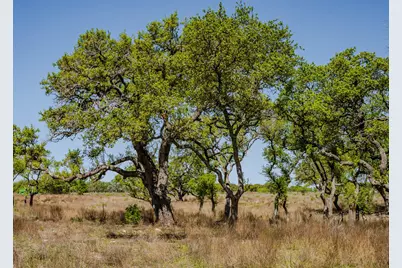 000 Little Creek Ranch, Johnson City, TX 78636 - Photo 4