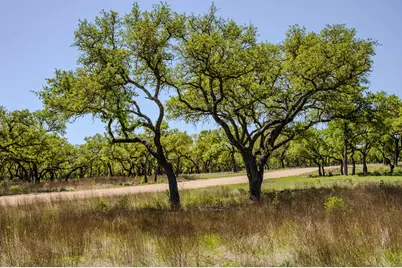 000 Little Creek Ranch, Johnson City, TX 78636 - Photo 8