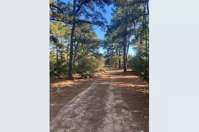 Lot 43 Pine Lodge Drive, Bastrop, TX 78602 - Photo 1