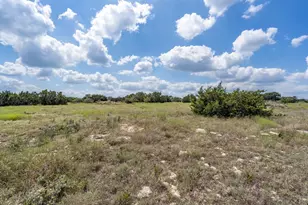 584 Saddle Ridge Dr, Bertram, TX 78605 - Photo 2
