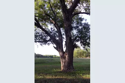 900 Old Lytton Springs Road, Lockhart, TX 78644 - Photo 24