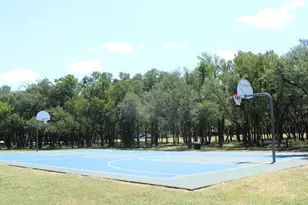 509 Paso Fino Trail, Cedar Park, TX 78613 - Photo 30