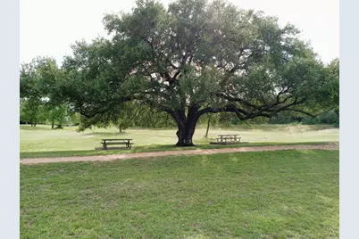509 Paso Fino Trail, Cedar Park, TX 78613 - Photo 34