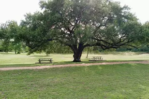 509 Paso Fino Trail, Cedar Park, TX 78613 - Photo 34