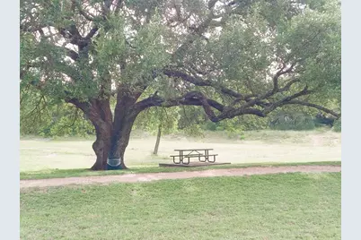 509 Paso Fino Trail, Cedar Park, TX 78613 - Photo 38