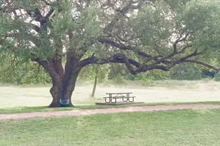 509 Paso Fino Trail, Cedar Park, TX 78613 - Photo 38