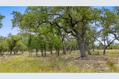 65 Miles Lane, Harper, TX 78631 - Photo 4